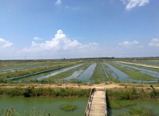 南河古渡养殖基地