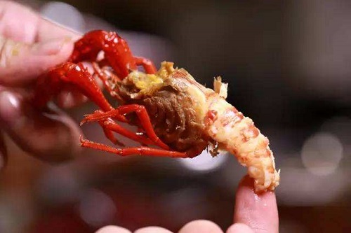 湖北小龙虾批发