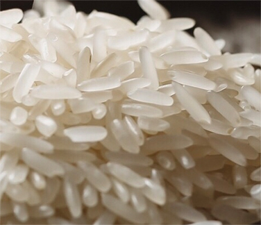 湖北大闸蟹批发