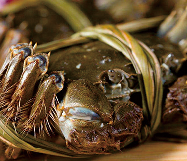 高温季节如何养殖螃蟹? 湖北大闸蟹批发