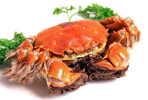 湖北大闸蟹厂家