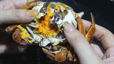 蟹黄和蟹膏有什么区别呢? 湖北大闸蟹厂家