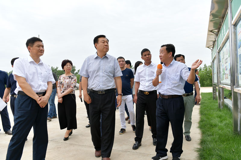 湖北大闸蟹厂家