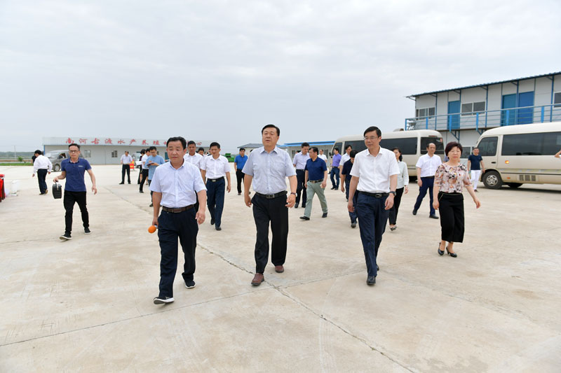 湖北大闸蟹厂家