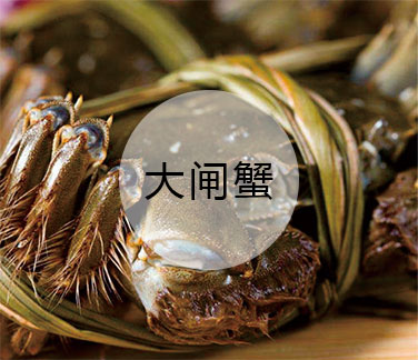 湖北大闸蟹厂家