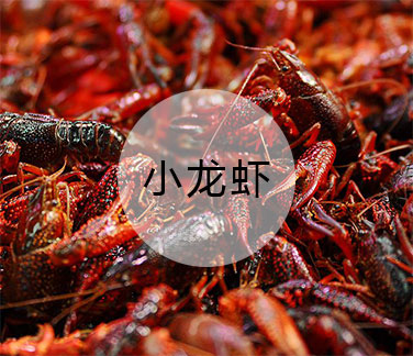 湖北大闸蟹批发