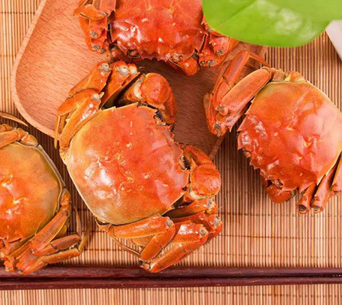 湖北大闸蟹批发