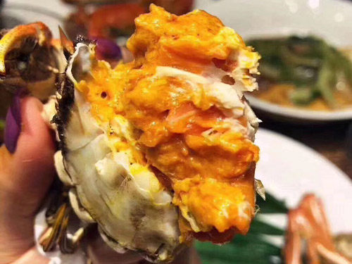 南河古渡大闸蟹 湖北大闸蟹批发