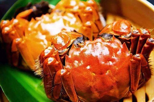 湖北大闸蟹批发