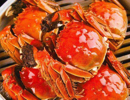 湖北大闸蟹厂家